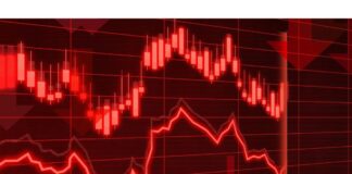 金融庁がスルガ銀行に営業停止を命じた日 投資家